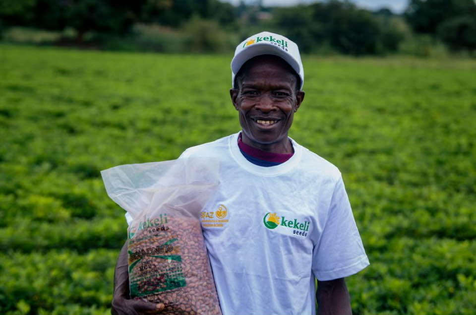 Legume seed distribution and outgrowers