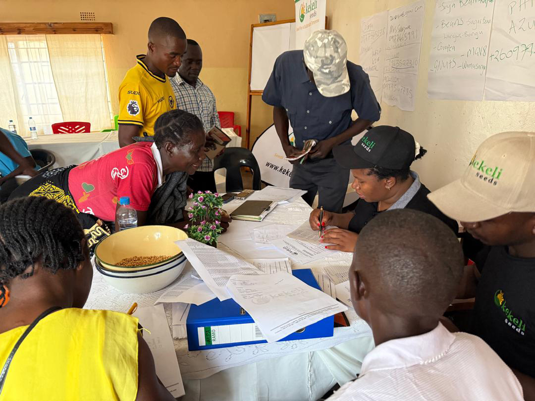 Outgrower farmer planting crops