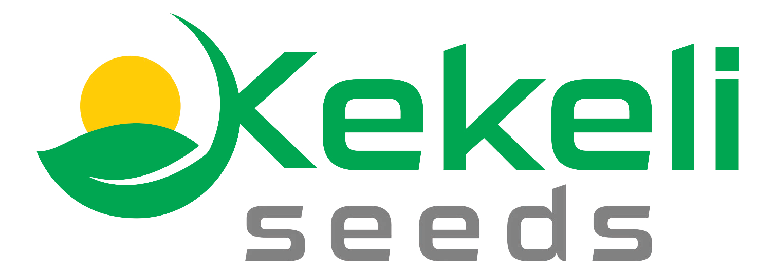 Kekeli%20Seeds